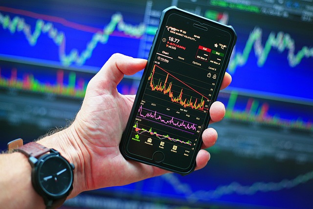 sergeitokmakov-stock-market-g5bddf512e_640.jpg