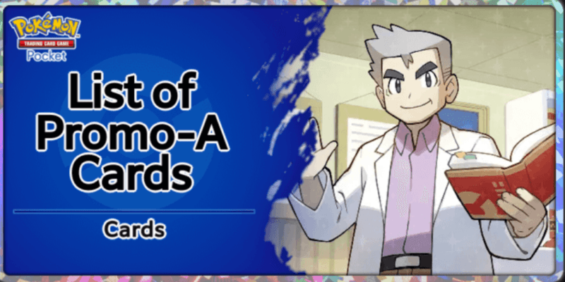 image-800x400.png