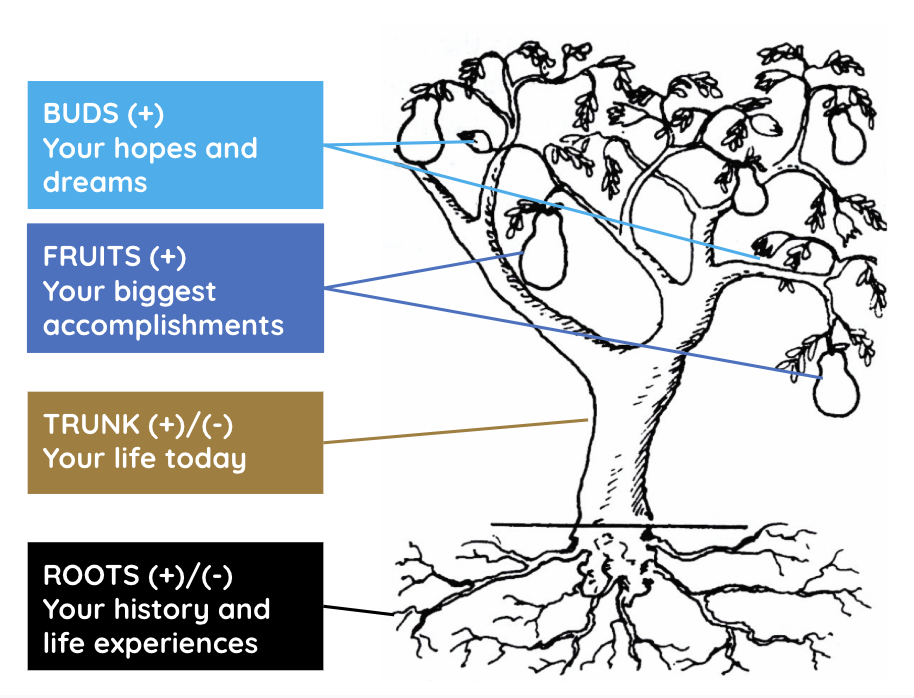 The tree drawing with four labels: Buds (+), your hopes and dreams; Fruits (+), your biggest accomplishments; Trunk (+)/(-), your life today; Roots (+)/(-), your history and life experiences.