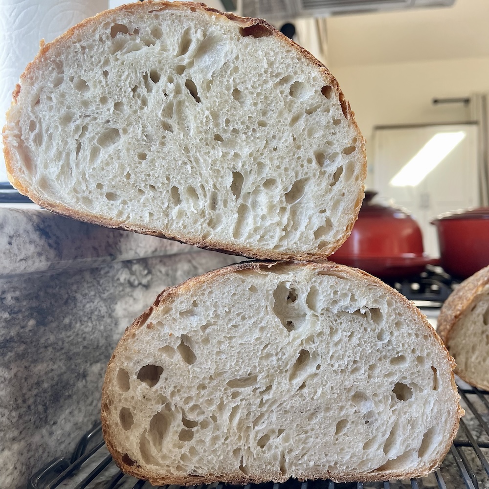 how to read sourdough crumb