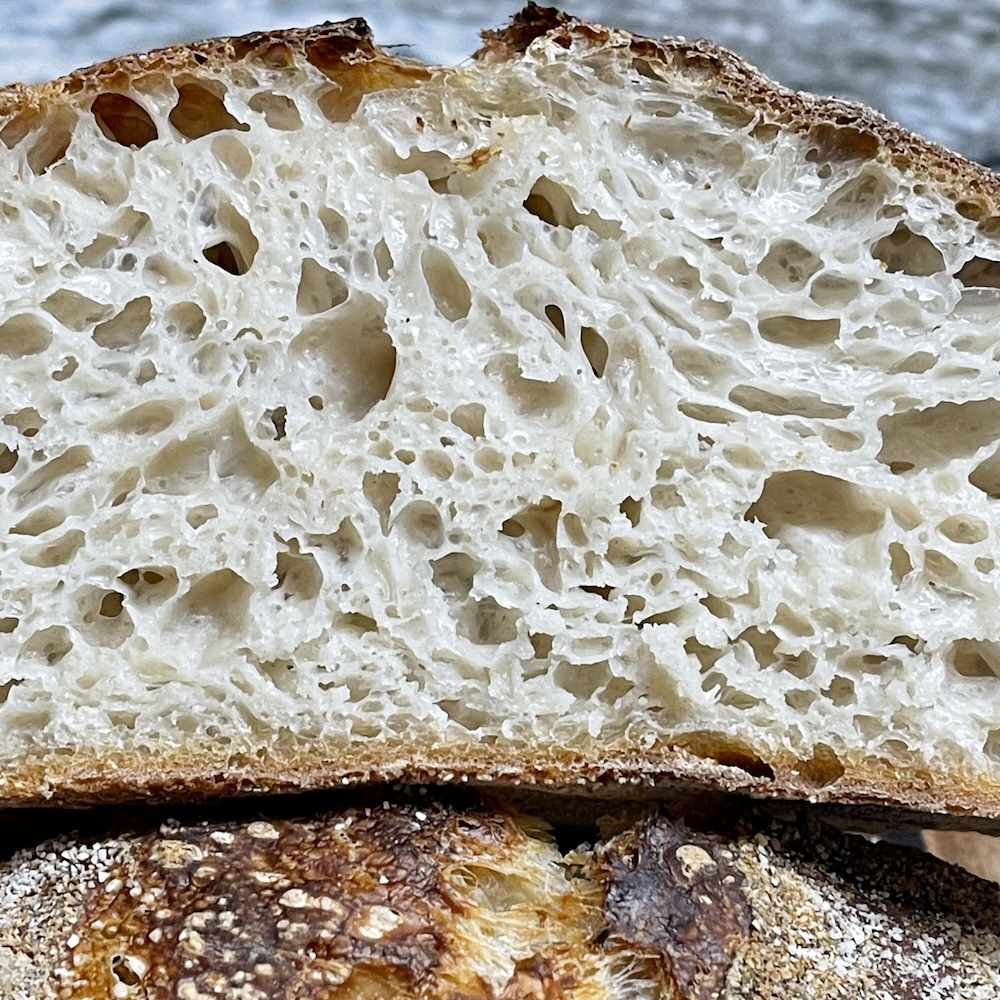 82% hydration bake. 100% bread flour. learn how to control sourdough crumb with proper dough handling. crumb shot of evenly distributed open crumb.