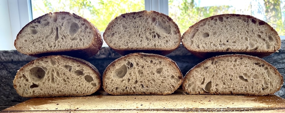 sourdough-crumb-control-comparison.jpeg