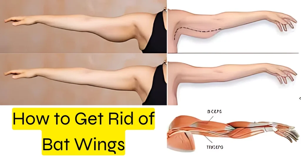 Visual comparison showing before and after results of reducing bat wings on arms, with anatomical illustration of tricep muscles targeted by arm-toning exercises. ways How to Get Rid of Bat Wings