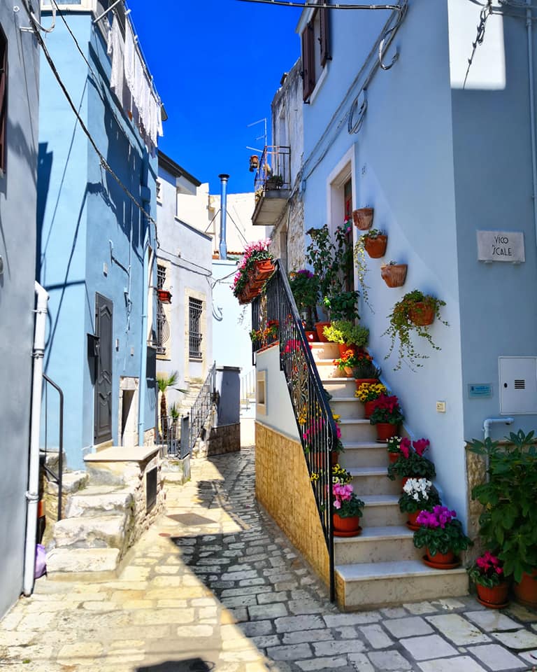 Casamassima