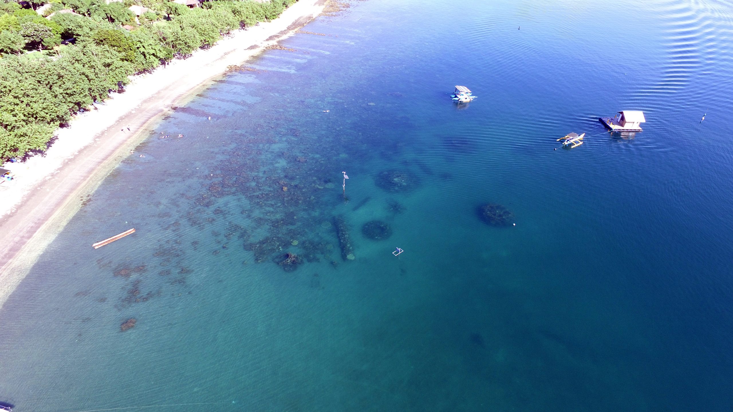 The Biorock Revolution: Restoring Coral Reefs In Pemuteran, Bali - The ...