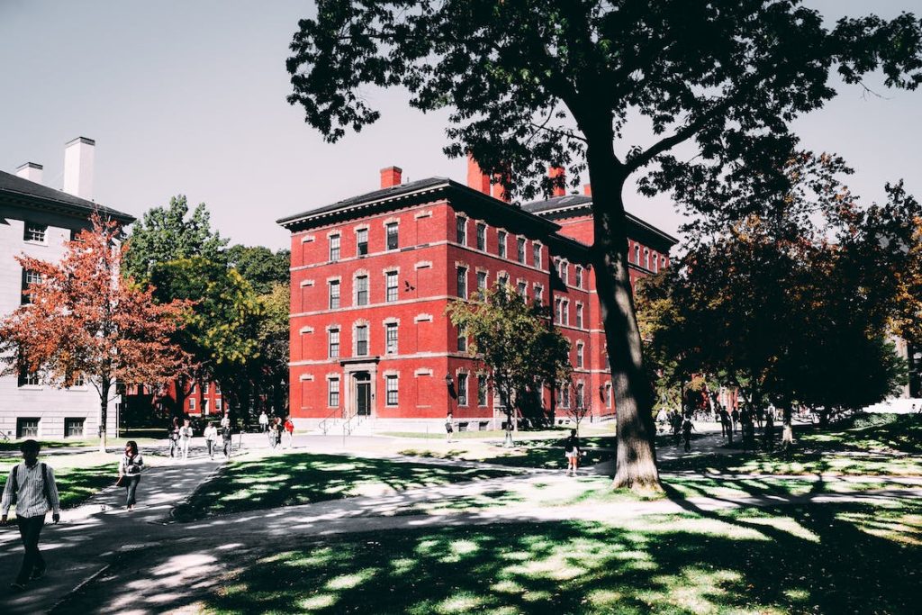 pexels-photo-2305098-1024x683.jpeg