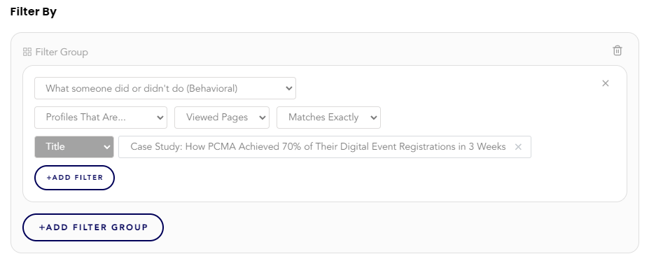 Audience explorer behavioral filter example.