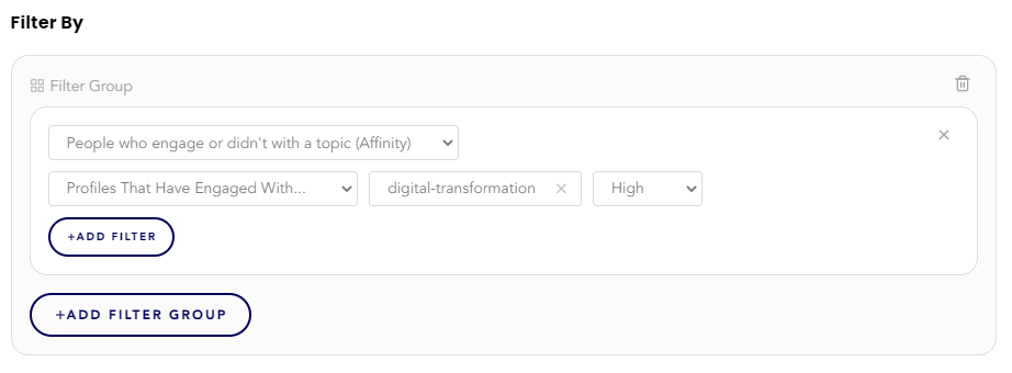 Audience explorer affinity filter example.