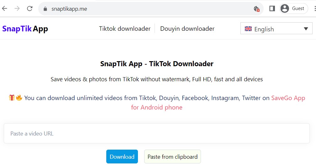 TikTok Downloader - Download TikTok videos without watermark