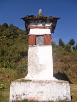 DSCI4735.JPG