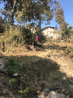 IMG_0152.JPG
