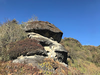 IMG_4117.JPG