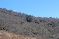 IMG_2691.JPG