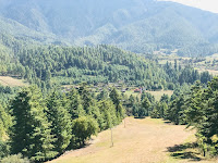 IMG_E0342.JPG