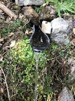 IMG_0151.JPG