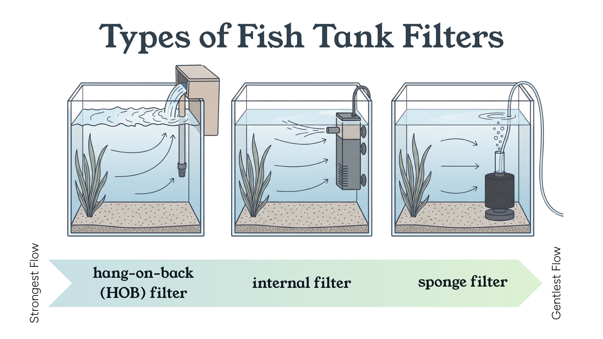 An infographic titled 'Types of Fish Tank Filters' comparing three aquarium setups side-by-side. Below the tanks, a large arrow indicates a progression from 'Strongest Flow' on the left to 'Gentlest Flow' on the right. The left tank features a 'hang-on-back (HOB) filter' creating a waterfall effect and strong circular currents. The middle tank shows an 'internal filter' submerged on the glass, pushing a moderate horizontal stream of water. The right tank displays a 'sponge filter' resting on the gravel, generating a gentle flow with small bubbles rising to the surface.