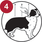 How to use Advantix For Dogs