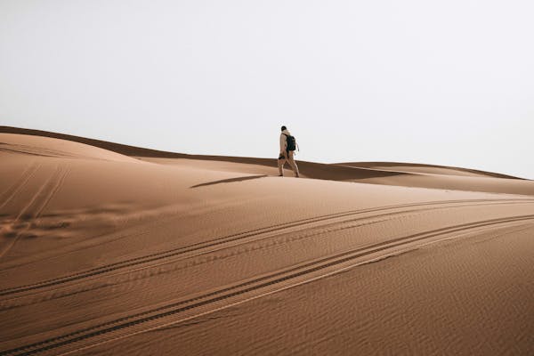 What Should You Look for in Solo Travel Groups?