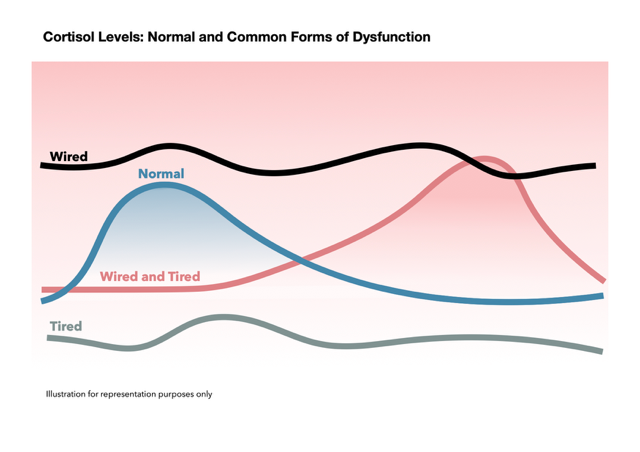 Cortisol_Levels___Dysfunction.1.png