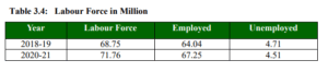 Pakistan Labour force Survey stats 2020-21