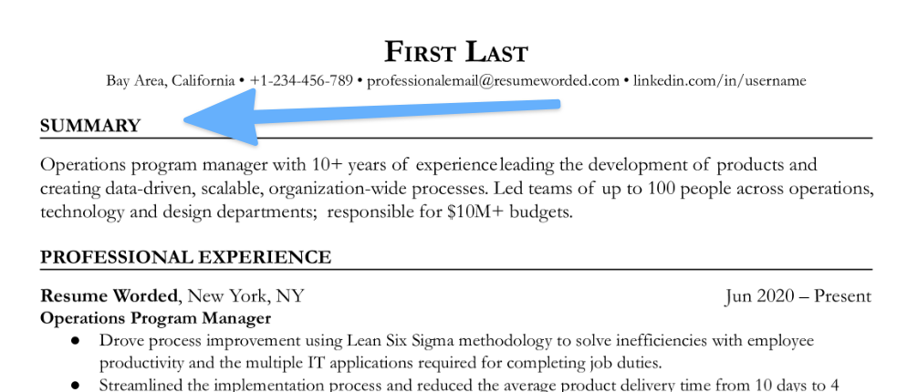 Section title for your resume summary section