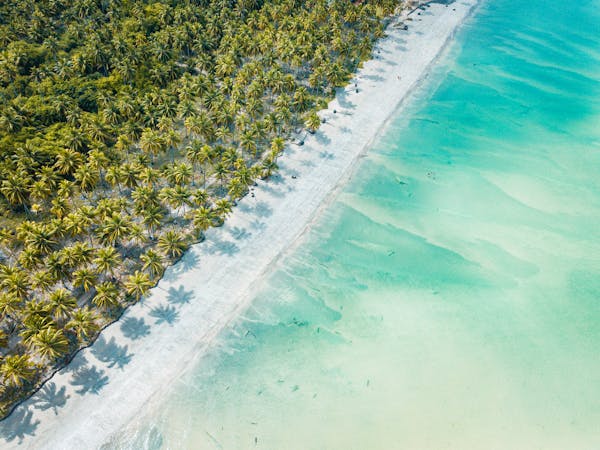 The Top 10 Best Beaches in Africa for Ultimate Relaxation