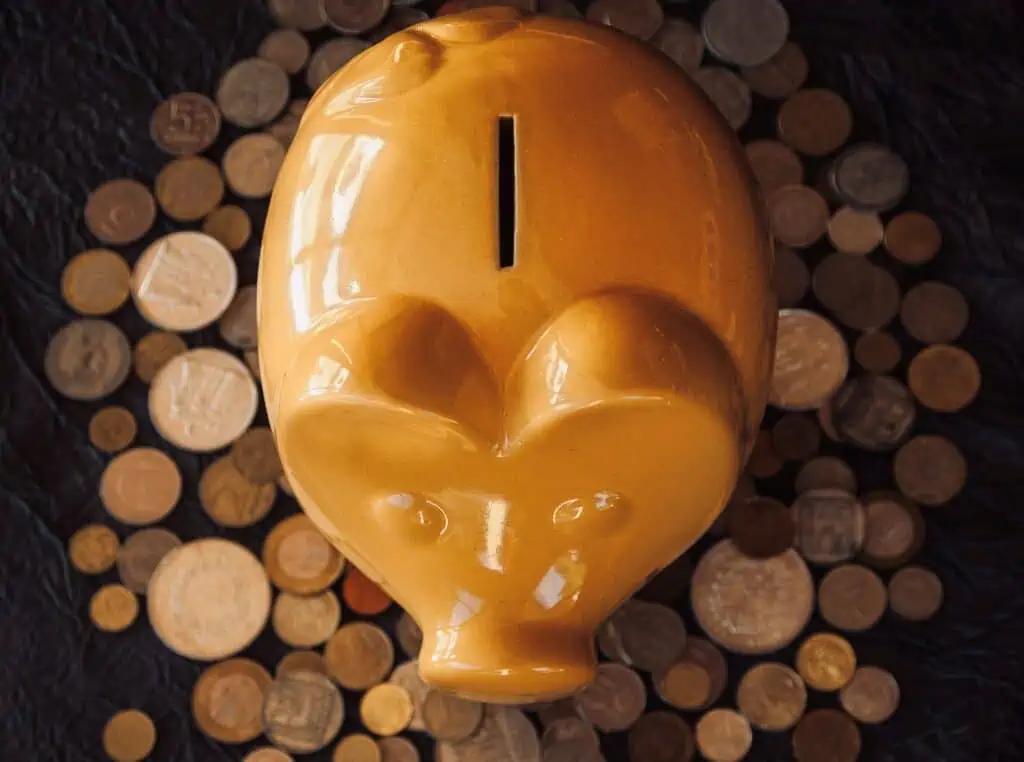 Golden piggy bank. 