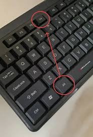 HP laptop no display issue troubleshooting
