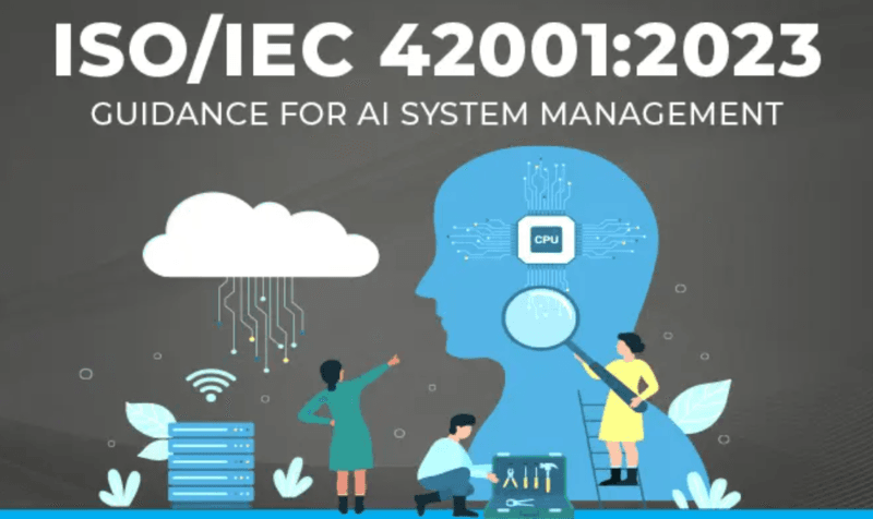 image-17-800x476.png