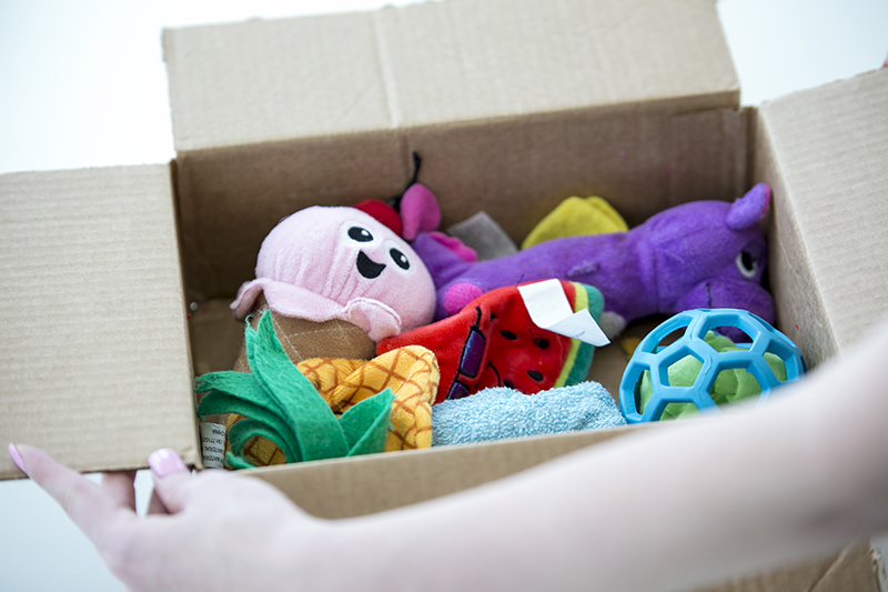 How to Make Interactive Dog Toys at Home