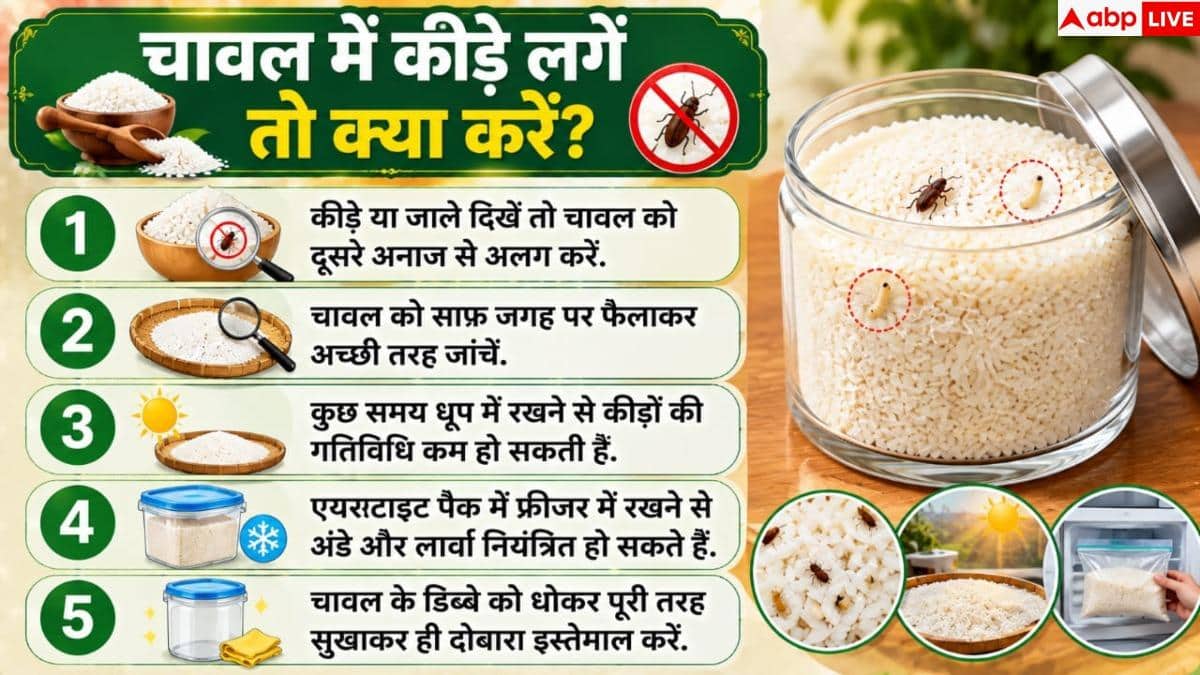 How to Remove Rice Insects: Are you seeing cobweb-like threads in your rice? Clean it with one easy hack.