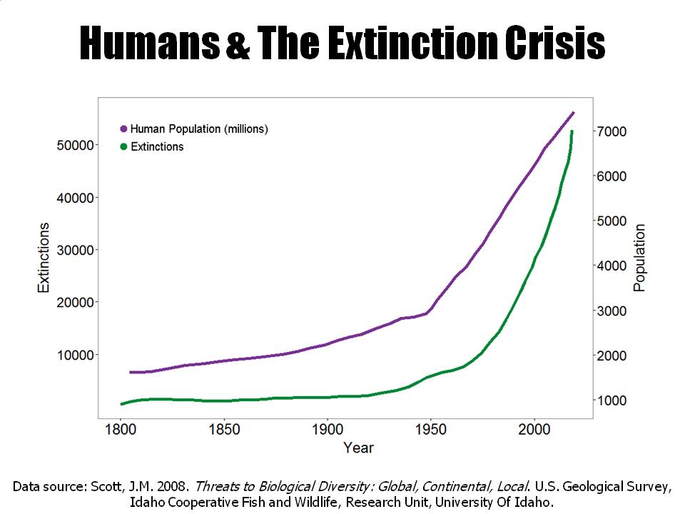 PopExtGraph.jpg